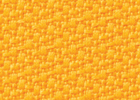 hari