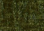 hari hari