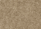 hari hari