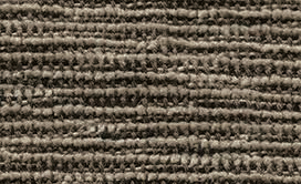 hari hari