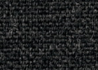 hari hari