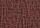 hari hari